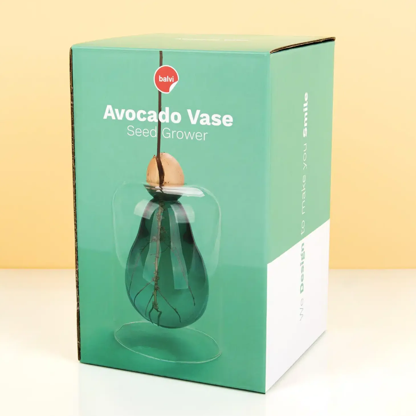 Avocado ontkiemvaas