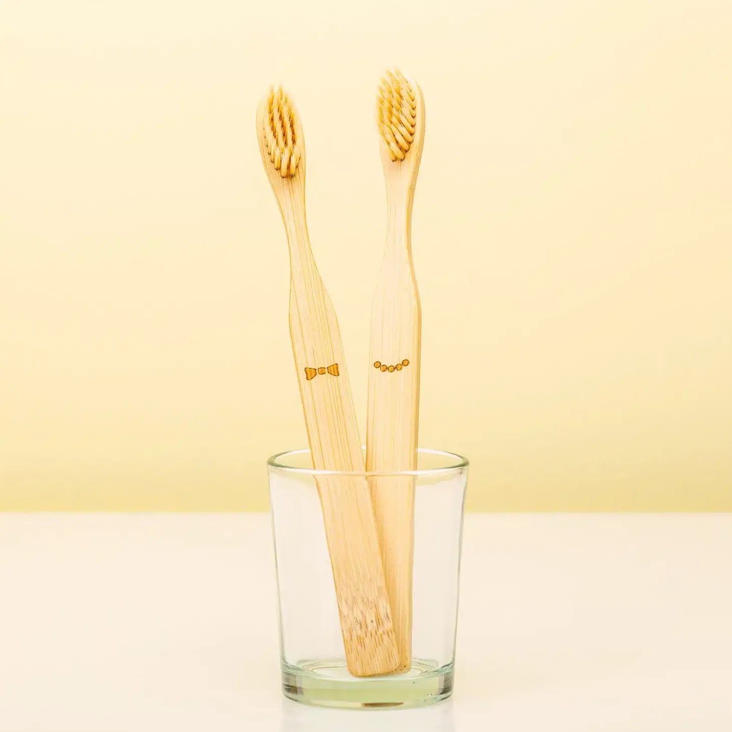 Bamboe tandenborstels (set van 2)
