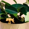 Bloempot honden (set van 4)