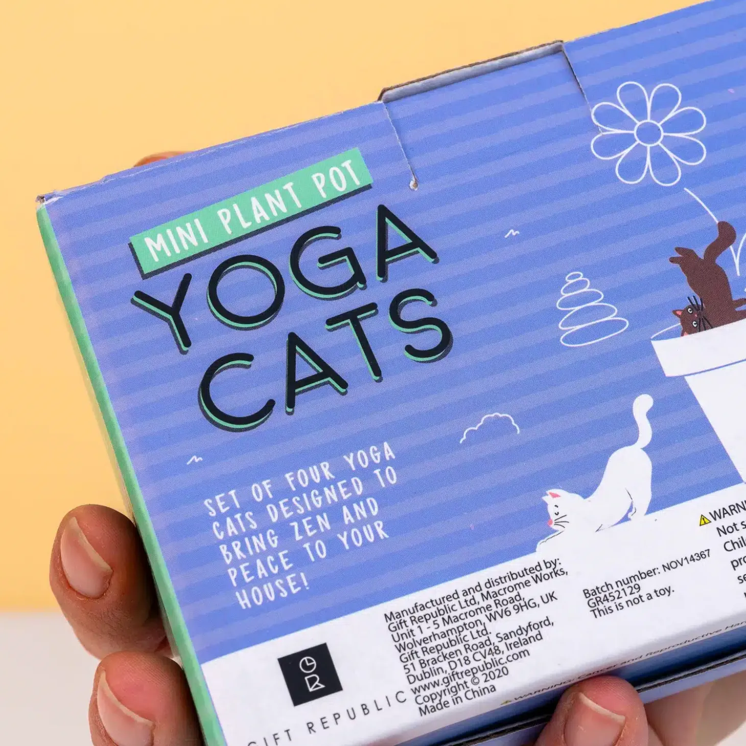Bloempot katten (set van 4)