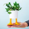 Bloempot met eendenpoten