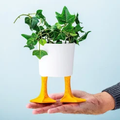 Bloempot met eendenpoten
