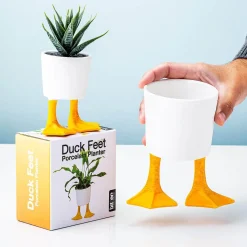 Bloempot met eendenpoten