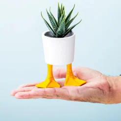 Bloempot met eendenpoten