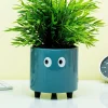 Bloempot met ogen