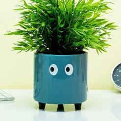 Bloempot met ogen