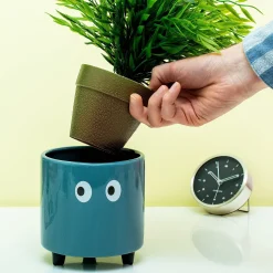 Bloempot met ogen