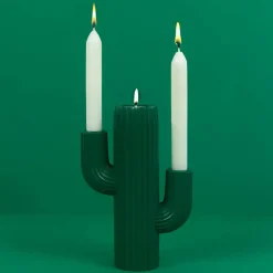 Cactus kandelaar