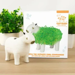 Capibara bloempot met zaadjes