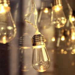 Edison Lampjes Lichtslinger