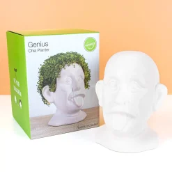 Einstein bloempot met zaadjes