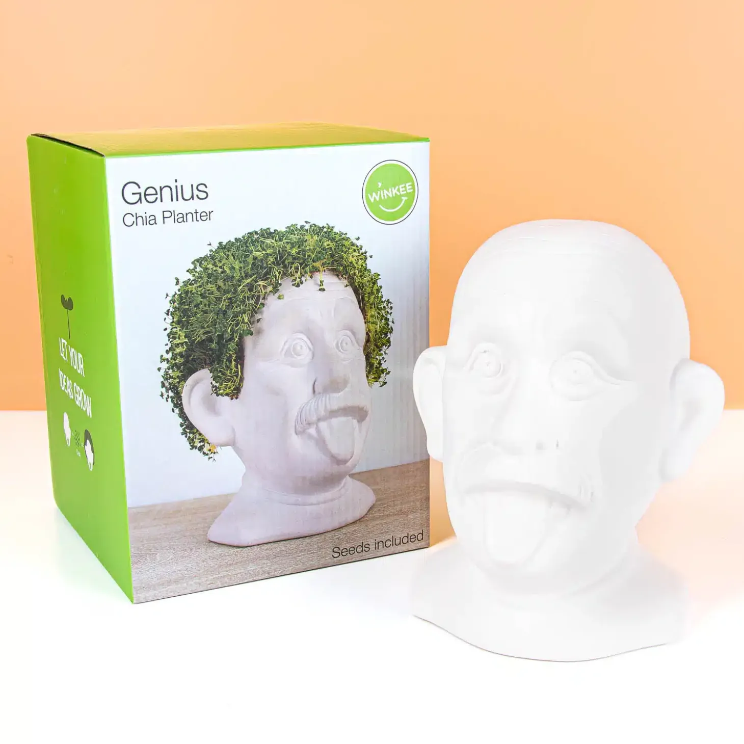 Einstein bloempot met zaadjes