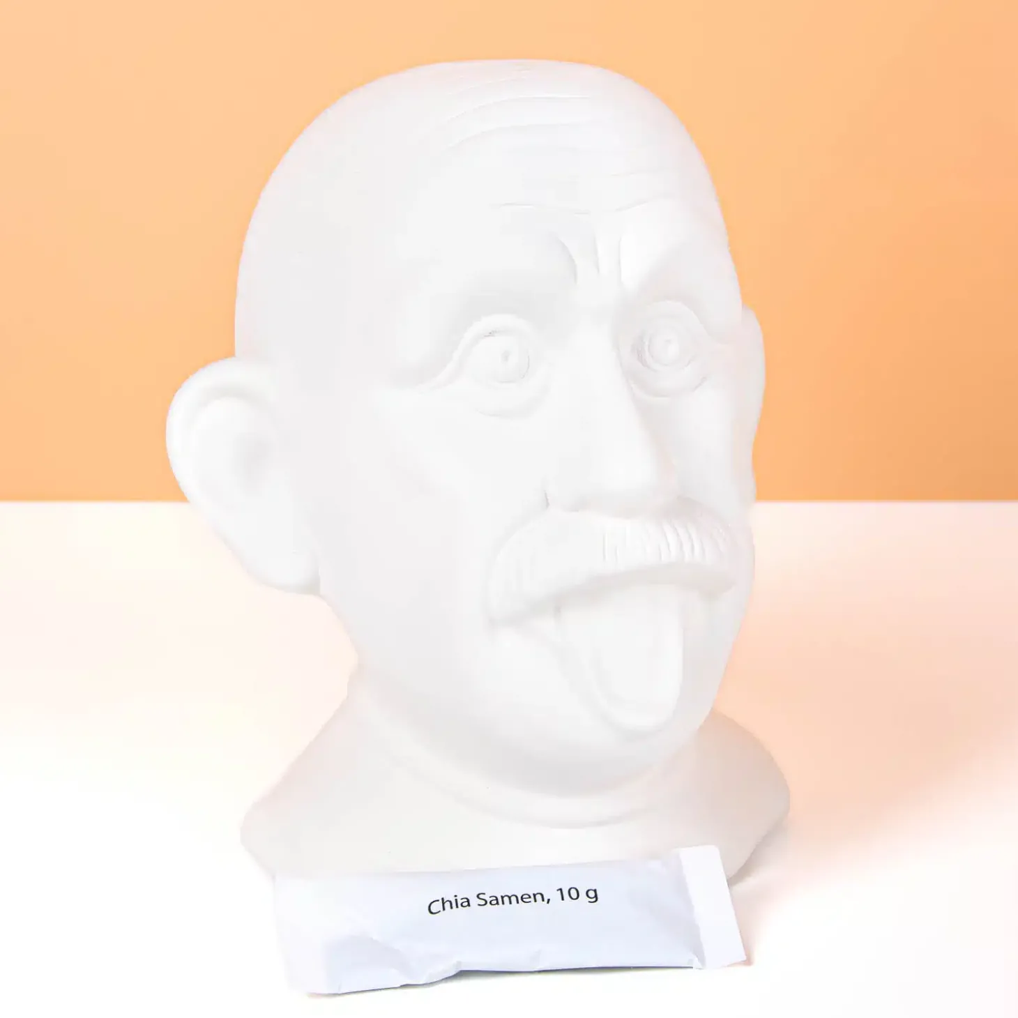 Einstein bloempot met zaadjes