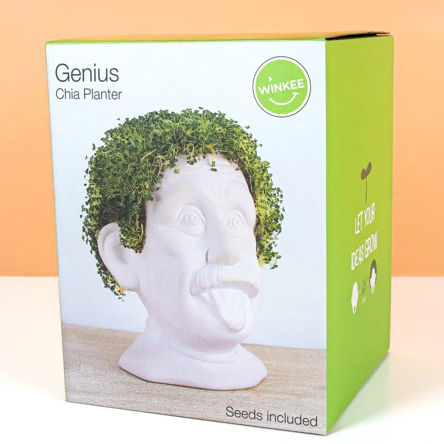 Einstein bloempot met zaadjes