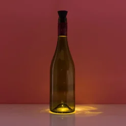 Fleslampje op zonne-energie