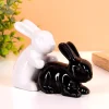 Horny rabbits peper- en zoutstel