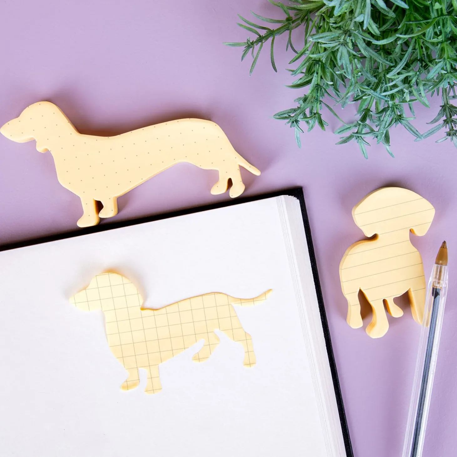 Huisdier sticky notes (set van 3)
