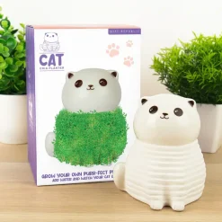 Kat bloempot met zaadjes