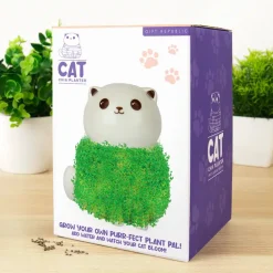 Kat bloempot met zaadjes