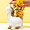 Lama bloempot