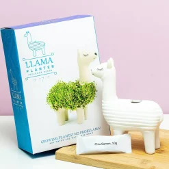 Lama bloempot met zaadjes