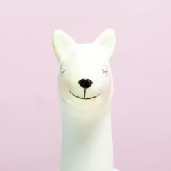 Lama bloempot met zaadjes