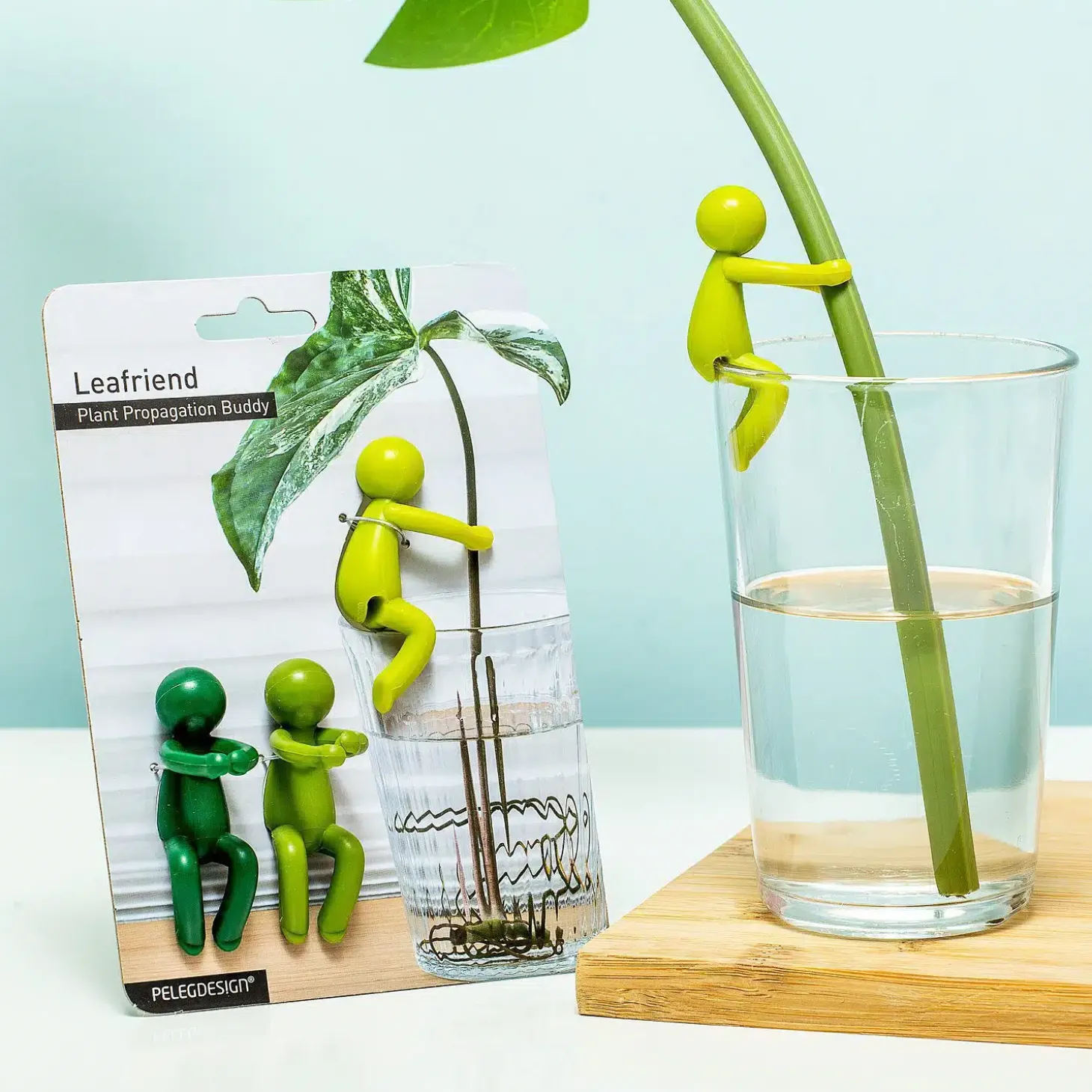 Leafriend stekjeshouder (set van 3)