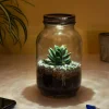 Lichtgevend terrarium