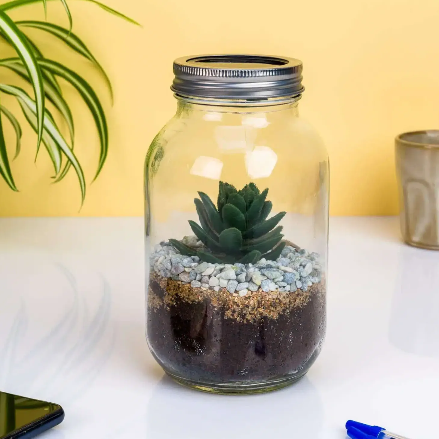 Lichtgevend terrarium