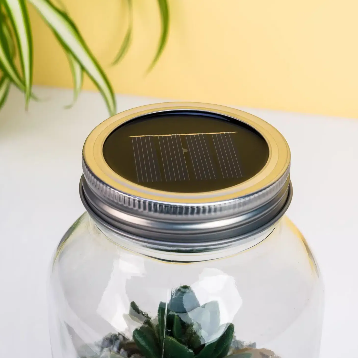 Lichtgevend terrarium