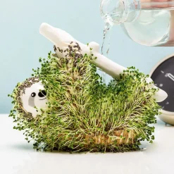 Luiaard bloempot met zaadjes
