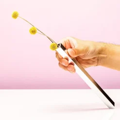 Magnetische Vaasjes (Set Van 5)