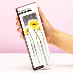 Magnetische Vaasjes (Set Van 5)