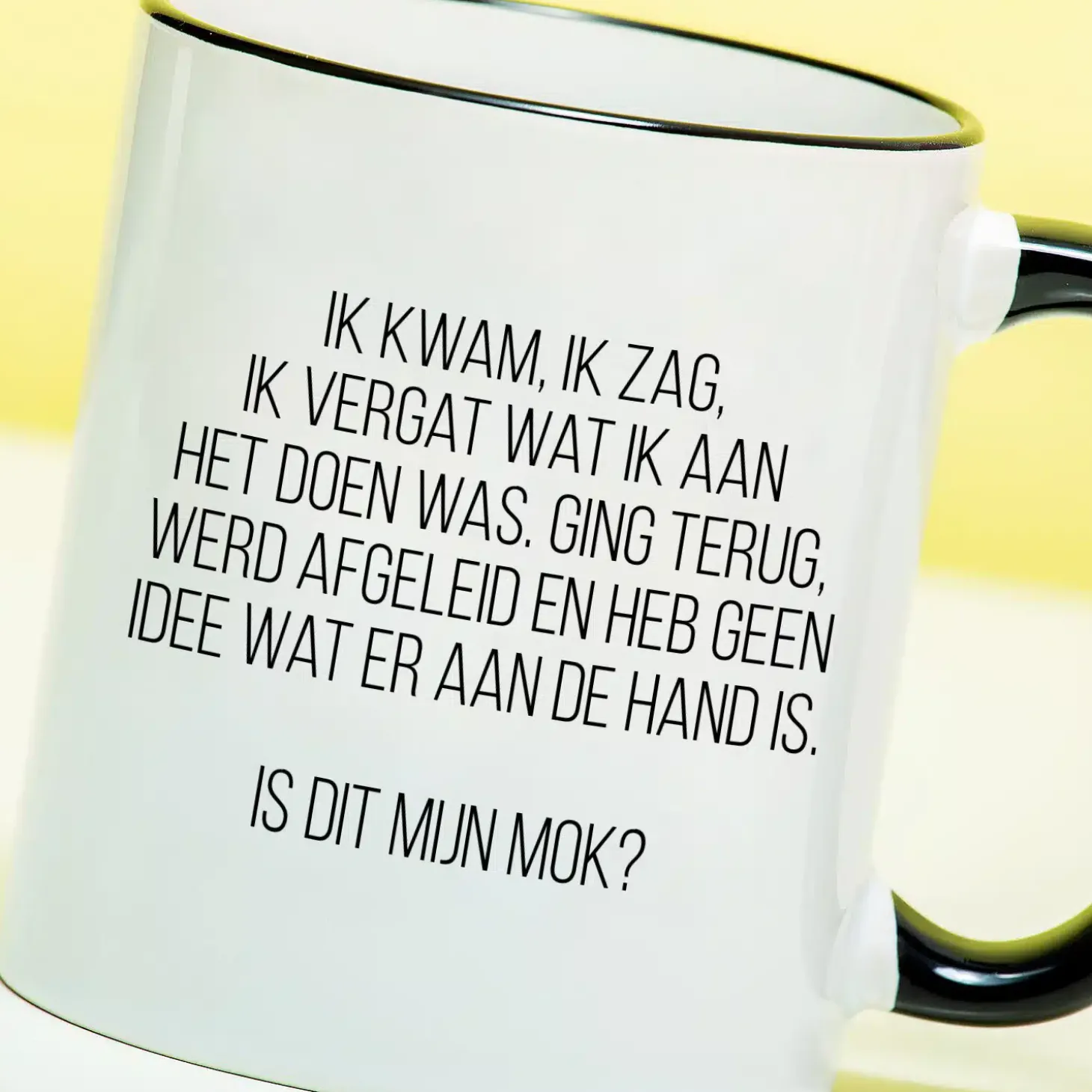 Mok Ik kwam, ik zag, ik vergat