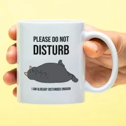 Mok Please Do Not Disturb