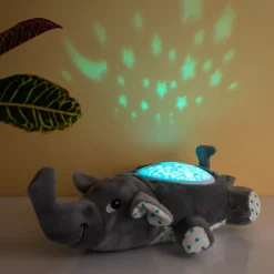 Olifant projector
