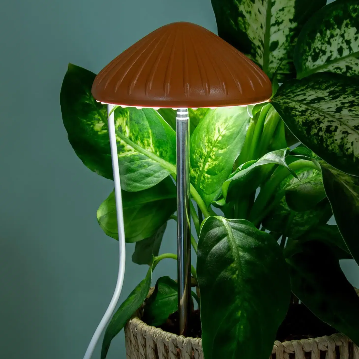 Paddenstoel plantenlamp