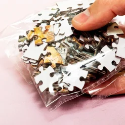 Pocket puzzel (100 stukjes)