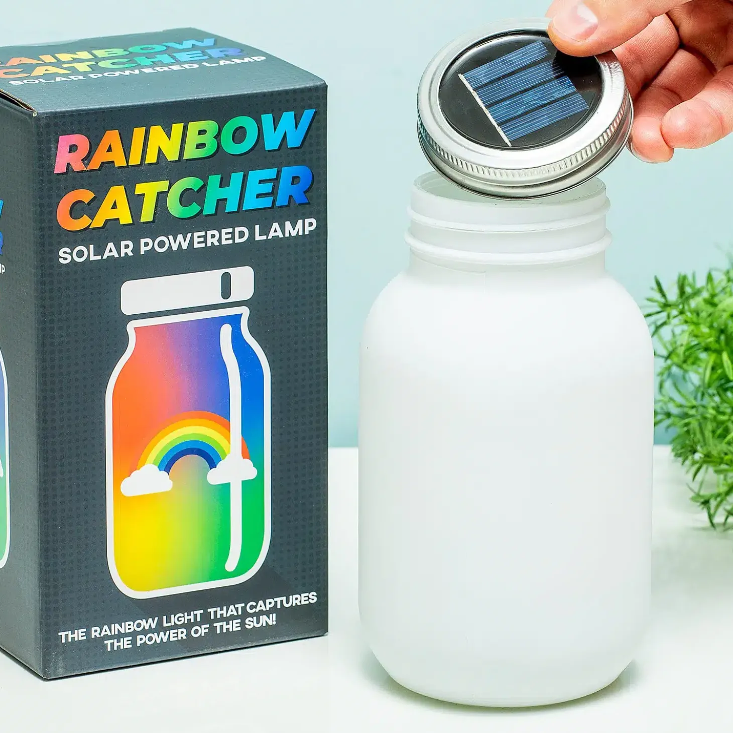 Rainbow Catcher lamp