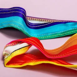 Regenboog mankini