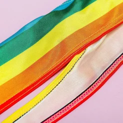 Regenboog mankini