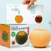 Ronde terracotta plantenpot