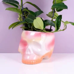 Schedel bloempot