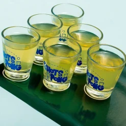 Shots Pong drankspel
