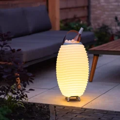 Synergy 50 lamp en speaker