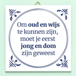Tegeltje Jong en dom