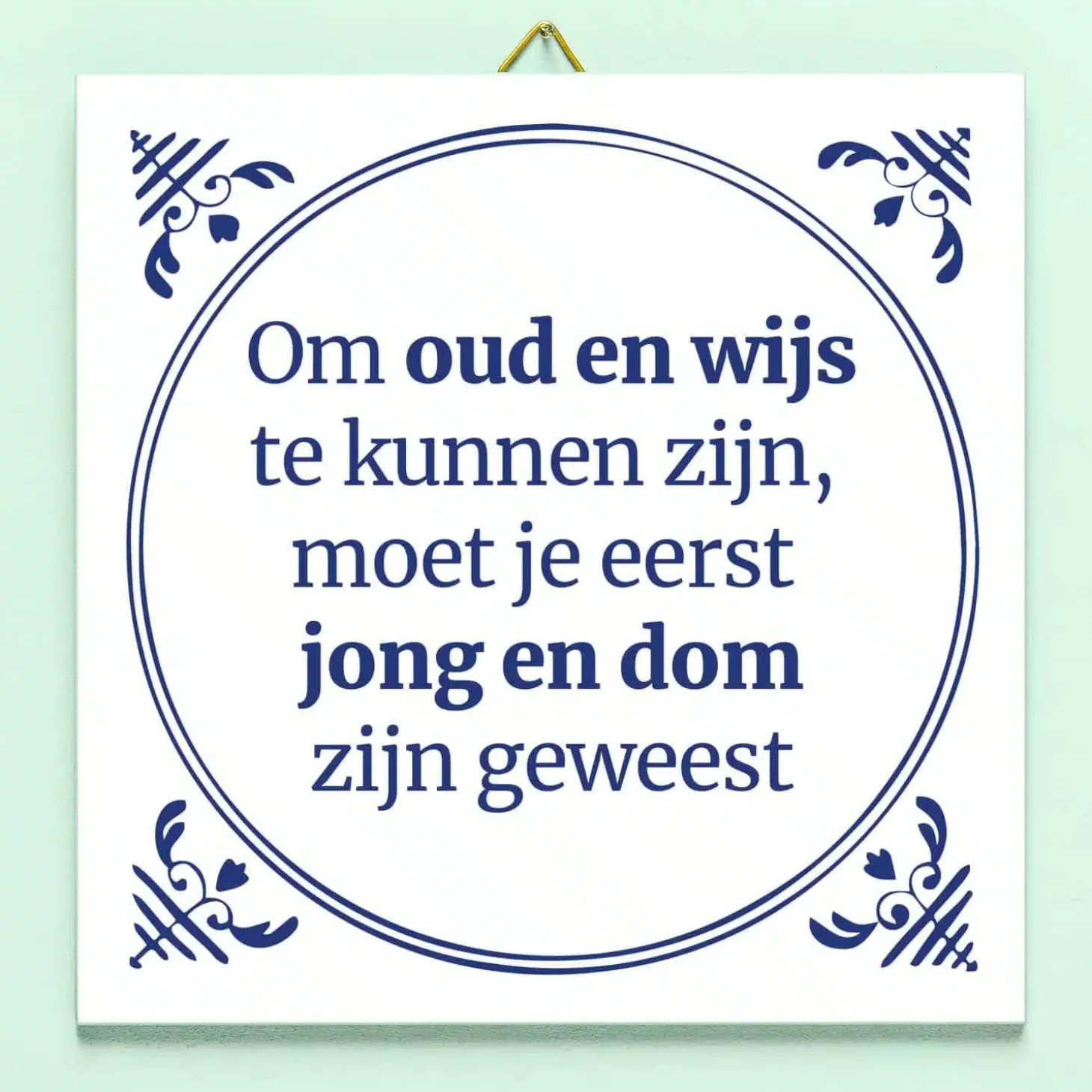 Tegeltje Jong en dom