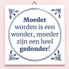 Tegeltje Moeder worden is een wonder