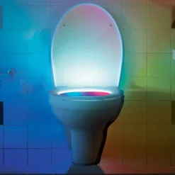 Toiletverlichting