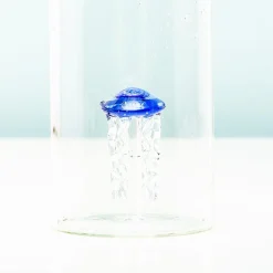 Waterfles
